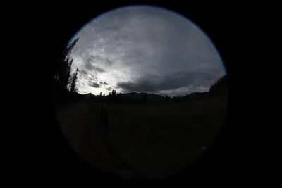 DSC_0047 (Large).JPG